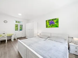 Prodej bytu 1+kk, Hardegg Stadt,Hardegg,Rakousko, 29 m2