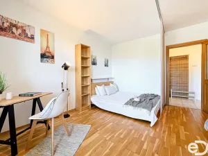 Pronájem bytu 1+1, Brno, Vychodilova, 42 m2