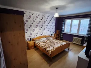 Prodej bytu 2+1, Chomutov, Beethovenova, 50 m2