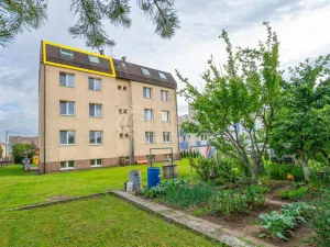 Prodej bytu 3+1, Němčice nad Hanou, Tyršova, 74 m2