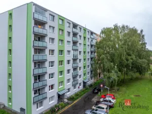 Prodej bytu 1+1, Cheb, Palackého, 36 m2