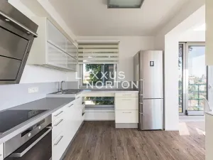 Pronájem bytu 5+kk, Praha - Smíchov, U Dívčích hradů, 202 m2