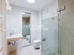 Pronájem bytu 5+kk, Praha - Smíchov, U Dívčích hradů, 202 m2