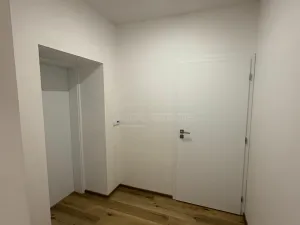 Pronájem bytu 1+kk, Doloplazy, 46 m2