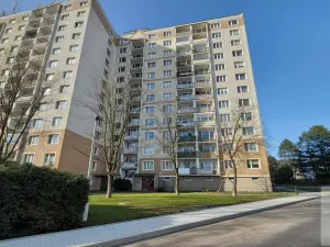 Prodej bytu 2+1, Ústí nad Labem - Střekov, Nová, 64 m2