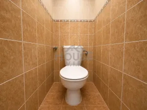 Prodej bytu 2+kk, Praha - Chodov, Samohelova, 42 m2