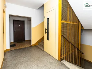Pronájem bytu 2+1, Cheb, Obětí nacismu, 57 m2