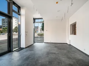 Pronájem restaurace, Praha - Žižkov, Olšanská, 352 m2