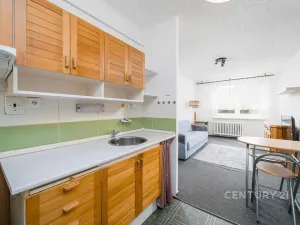 Prodej bytu 2+kk, Teplice, V závětří, 41 m2
