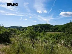 Prodej sadu/vinice, Moravské Bránice, 2403 m2