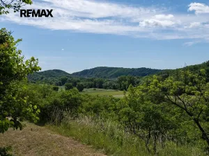 Prodej sadu/vinice, Moravské Bránice, 2403 m2