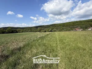 Prodej pole, Bojkovice, Luhačovická, 15000 m2
