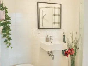 Pronájem bytu 1+kk, Praha - Vinohrady, Mánesova, 53 m2