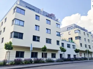Pronájem bytu 2+kk, Františkovy Lázně, Nádražní, 64 m2