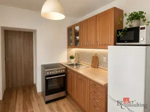 Prodej činžovního domu, Krásná Lípa, Kyjovská, 298 m2