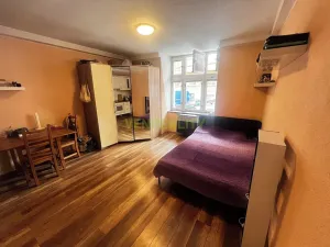 Prodej bytu 1+kk, Praha - Vinohrady, Písecká, 25 m2