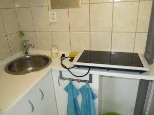 Pronájem bytu 1+kk, Praha - Dejvice, Generála Píky, 20 m2