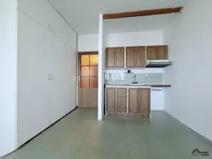 Prodej bytu 1+kk, Ostrava, Francouzská, 30 m2