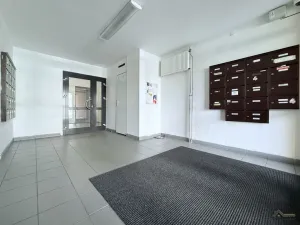 Prodej bytu 1+kk, Ostrava, Francouzská, 30 m2