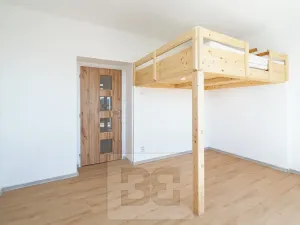 Pronájem bytu 2+1, Praha - Žižkov, Jana Želivského, 63 m2