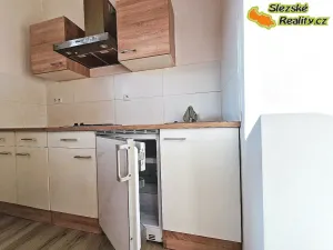 Pronájem bytu 1+kk, Ostrava, Krakovská, 22 m2
