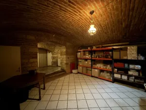 Pronájem restaurace, Praha - Vinohrady, Rumunská, 300 m2