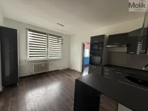 Pronájem bytu 2+1, Bílina - Teplické Předměstí, Sídliště Za Chlumem, 52 m2