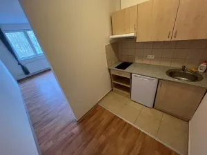 Pronájem bytu 1+1, Otvovice, 28 m2