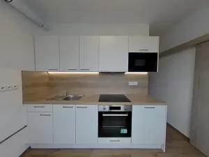 Pronájem bytu 2+1, Čáslav, Ant. Dvořáka, 56 m2