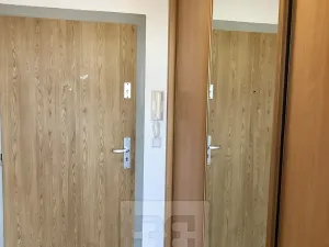 Pronájem bytu 1+kk, Praha - Holešovice, U měšťanského pivovaru, 41 m2
