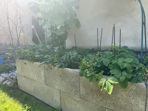 Prodej rodinného domu, Plzeň, Bohuslava Martinů, 120 m2