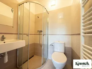 Pronájem bytu 2+1, Brno, Kobylnická, 32 m2