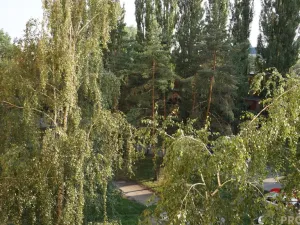 Pronájem bytu 2+1, Olomouc, Černá cesta, 44 m2