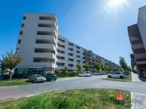 Prodej bytu 3+kk, Brno - Slatina, Řípská, 105 m2