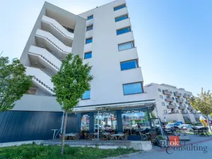 Prodej bytu 3+kk, Brno - Slatina, Řípská, 105 m2