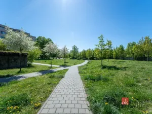 Prodej bytu 3+kk, Brno - Slatina, Řípská, 105 m2