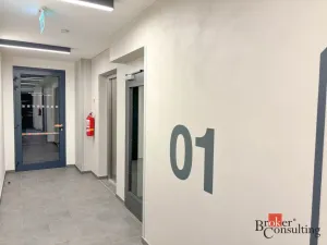 Pronájem bytu 2+kk, Praha - Vysočany, Fafkových, 50 m2
