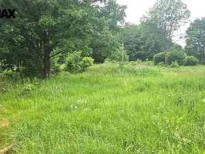 Prodej pozemku pro bydlení, Milevsko, 6269 m2