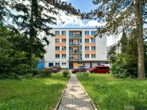 Pronájem bytu 1+kk, Ostrava - Poruba, Studentská, 31 m2