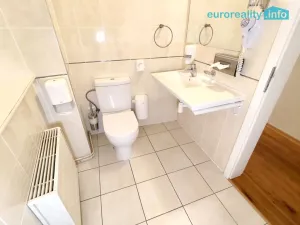 Pronájem bytu 4+kk, Plzeň, Zbrojnická, 110 m2