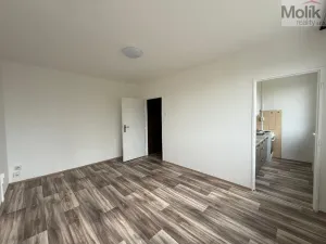 Pronájem bytu 1+kk, Most, Růžová, 27 m2