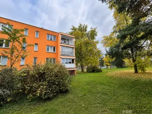 Pronájem bytu 3+1, Hodonín, třída Bří Čapků, 79 m2