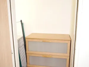 Pronájem bytu 1+1, Prostějov, Šárka, 43 m2