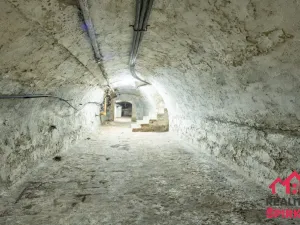 Prodej vícegeneračního domu, Moravská Třebová - Město, nám. T. G. Masaryka, 422 m2