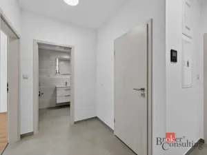 Pronájem bytu 2+kk, Plzeň - Jižní Předměstí, Železná, 63 m2