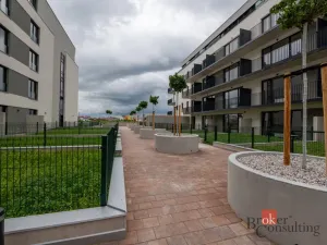 Pronájem bytu 2+kk, Plzeň - Jižní Předměstí, Železná, 63 m2
