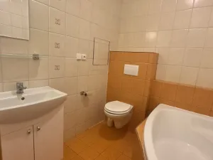 Pronájem bytu 1+kk, Hradec Králové, Brožíkova, 30 m2