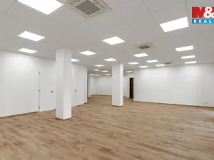 Prodej kanceláře, Plzeň - Severní Předměstí, Otýlie Beníškové, 145 m2