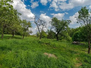 Prodej pozemku pro bydlení, Veliny, 1236 m2