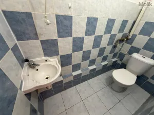 Pronájem kanceláře, Most, Růžová, 51 m2